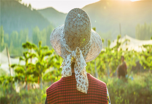 2020年云南康養(yǎng)旅游發(fā)展具備哪些資源優(yōu)勢(shì)？現(xiàn)狀如何？