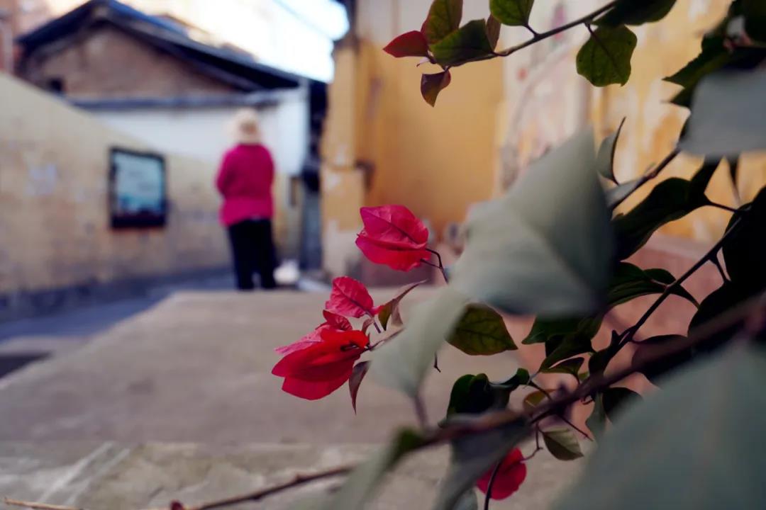 探秘老街區(qū)，這些昆明私藏街巷美呆了