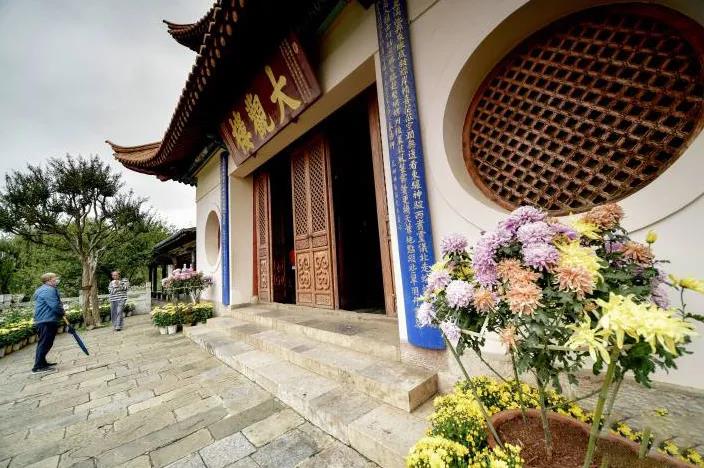 春城無(wú)處不飛花，九月賞花何處去？