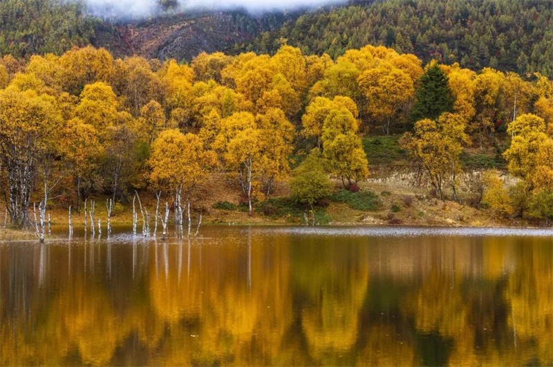 ?昆明策劃公司：云南的秋天“最云南”！15個(gè)絕美賞秋地，隨手一拍都適合當(dāng)壁紙！