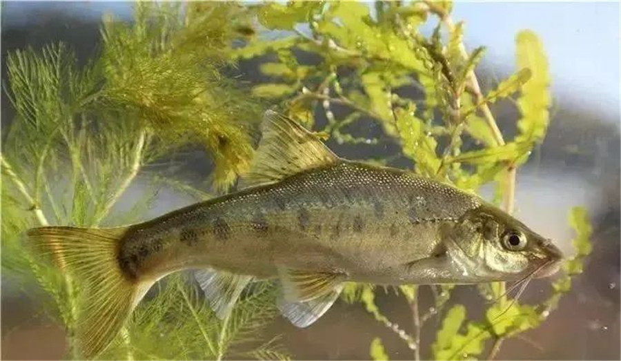 昆明定制旅游 昆明定制旅游