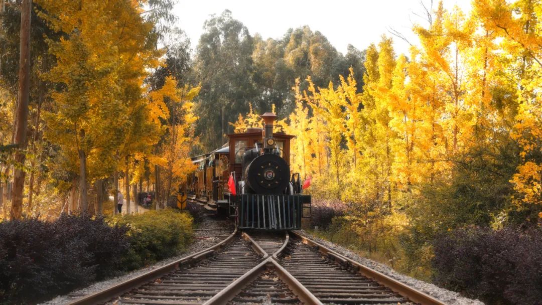 昆明旅行團,昆明策劃公司,昆明拓展公司：暢游秋天最美景區